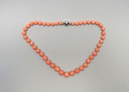 NECKLACE made of angel skin coral balls,...