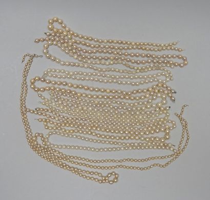 LOT composé de 13 colliers de perles de culture...