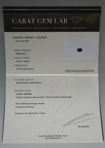 18k (750/°°) white gold ring set with a 3.08cts...