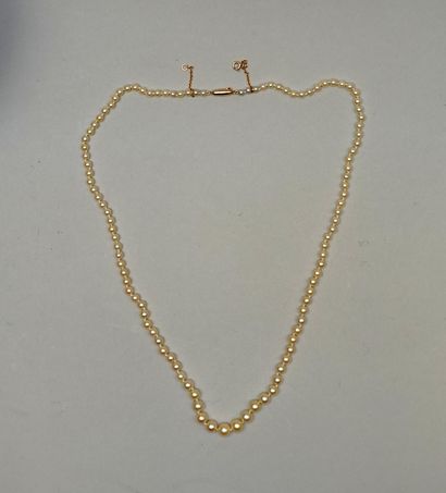 NECKLACE of cultured pearls in fall (3 to...