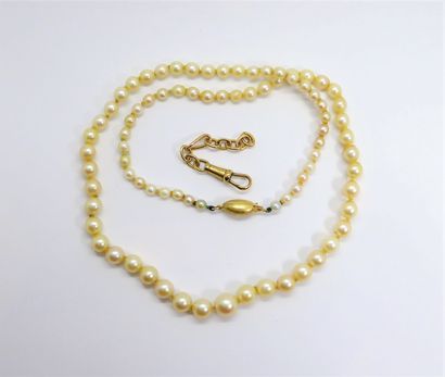 NECKLACE of Akoya pearls, the clasp in 18K...