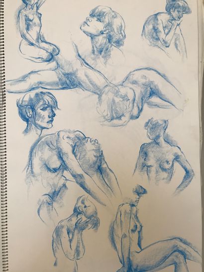 COPPENS Gaston, 1909-2002

Un carnet à spirales...