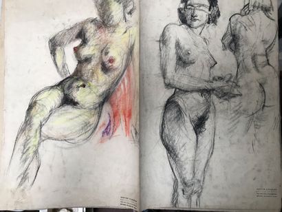 COPPENS Gaston, 1909-2002

Un carnet à spirales...