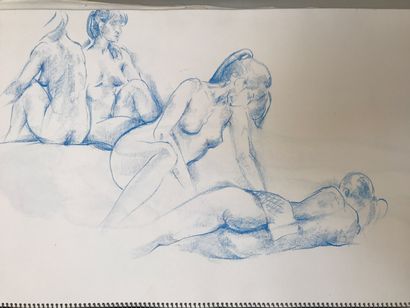 COPPENS Gaston, 1909-2002

Un carnet à spirales...