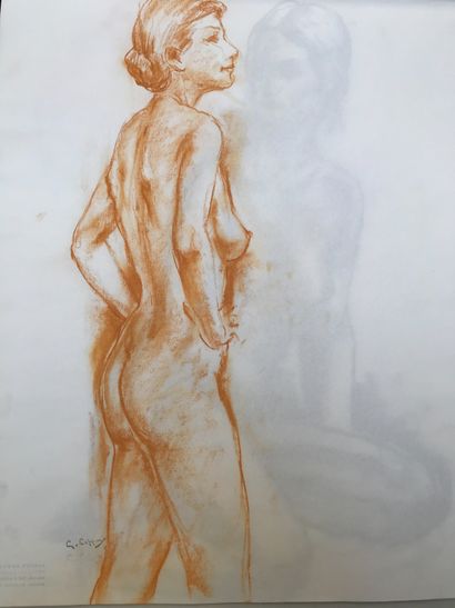COPPENS Gaston, 1909-2002

Un carnet contenant...
