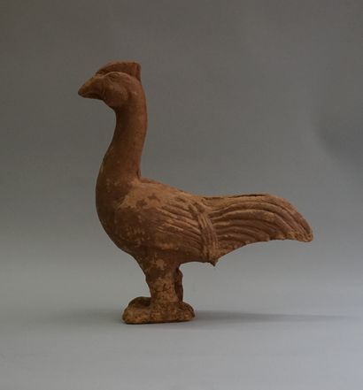 Beige and ochre terracotta rooster. 

Han,...