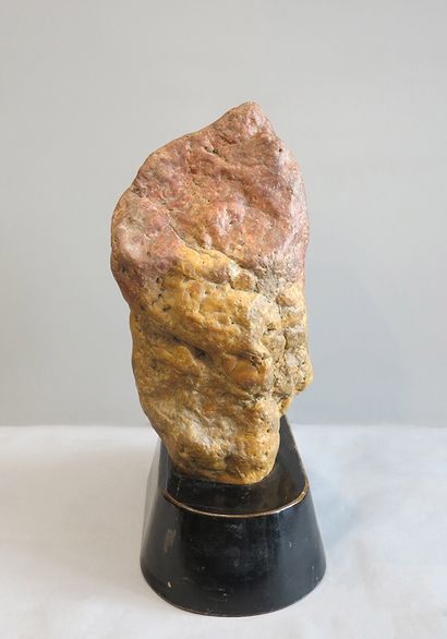 Penjing chinois (scholar stone). Le penjing...