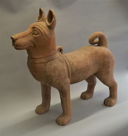 Large dog wearing a harness in beige-orange...