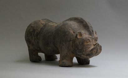 Grey terracotta pig. 

Han, 206 BC - 220...