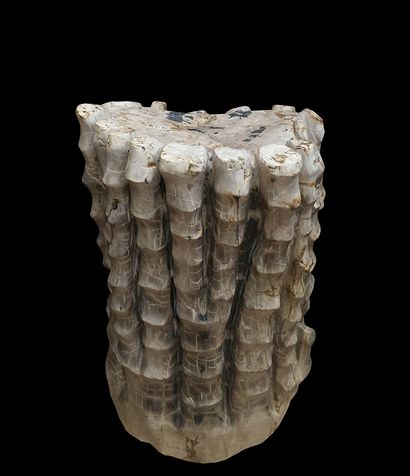 Tronc de bambou petrifié.

Indonésie.

5...