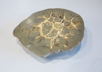 Tranche de Septeria



Madagascar, ère j...