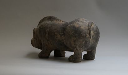 Grey terracotta pig. 

Han, 206 BC - 220...