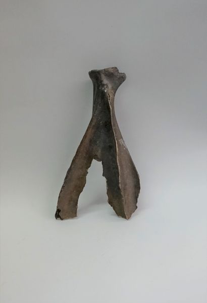 Equus caballus ogre from the Pleistocene...
