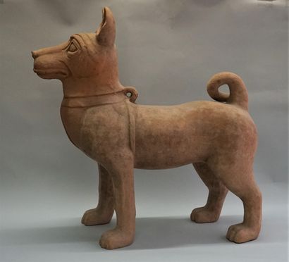 Large dog wearing a harness in beige-orange...