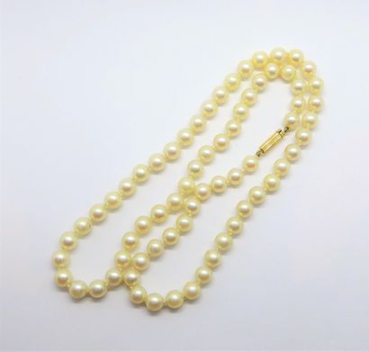 COLLIER de perles de culture Akoya, choker,...