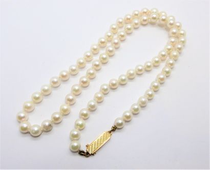 COLLIER de perles de culture Akoya, choker,...