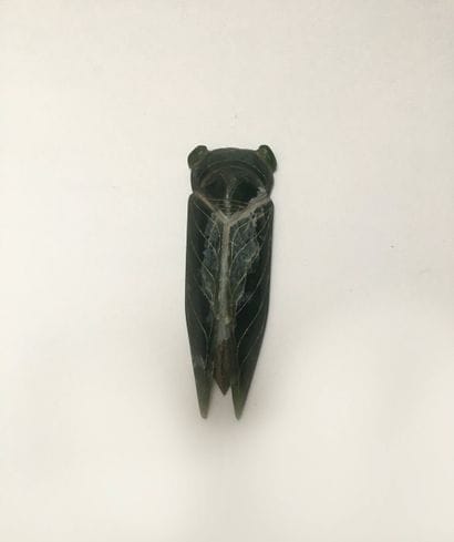 Cicada in dark green jade. The eyes, wings...