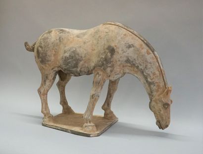 Saddled horse (removable saddle) in terracotta...
