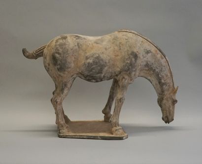 Saddled horse (removable saddle) in terracotta...