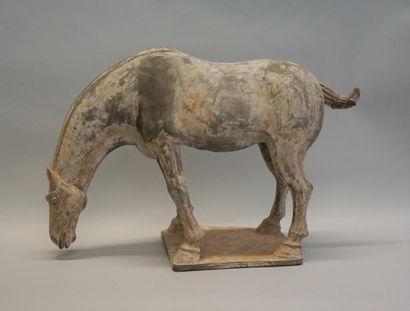 Saddled horse (removable saddle) in terracotta...