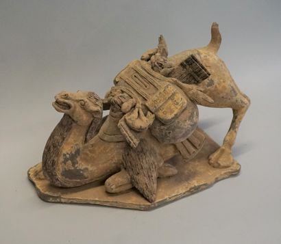 Kneeling camel carrying a pack of goods....