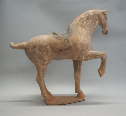 Prancing horse in white, orange and black...