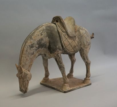 Saddled horse (removable saddle) in terracotta...