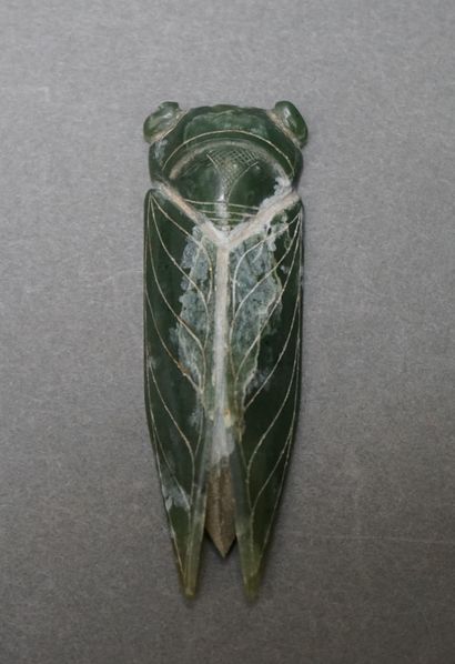 Cicada in dark green jade. The eyes, wings...