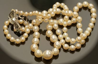 COLLIER de perles de culture en chute, le...