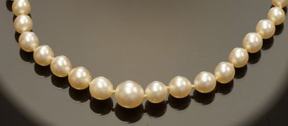 COLLIER de perles de culture en chute, le...