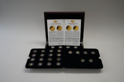 PIECES DE COLLECTION:

Mallette N° 1 :3 plateaux...