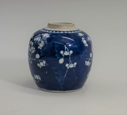 Ginger pot in blue and white porcelain decorated...