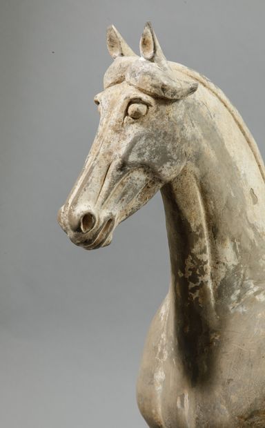Pair of horses with removable saddle represented...