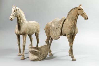 Pair of horses with removable saddle represented...