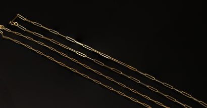 SET of 2 chains in 18k yellow gold (750/°°)...