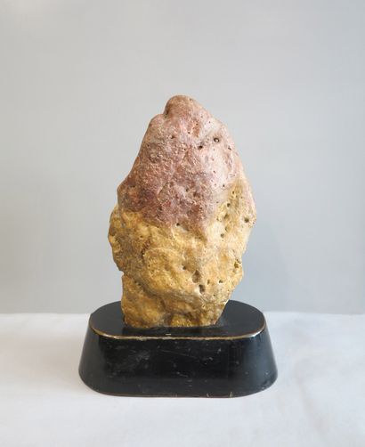Chinese penjing (scholar stone). Penjing...