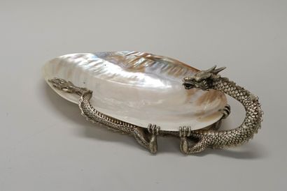 Large pocket-case made of a polished shell...
