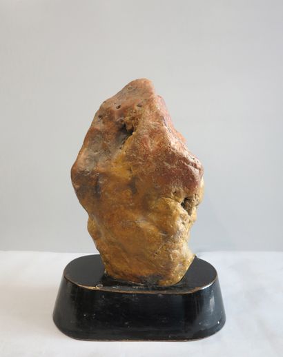 Chinese penjing (scholar stone). Penjing...