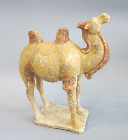 Camel represented standing on a rectangular...