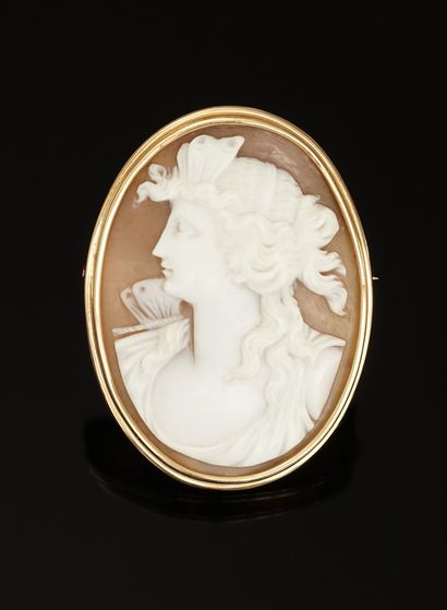 CAMEE shell pin representing Psyche. The...