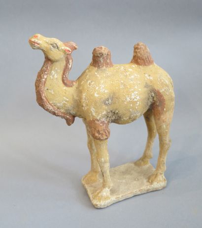 Camel represented standing on a rectangular...