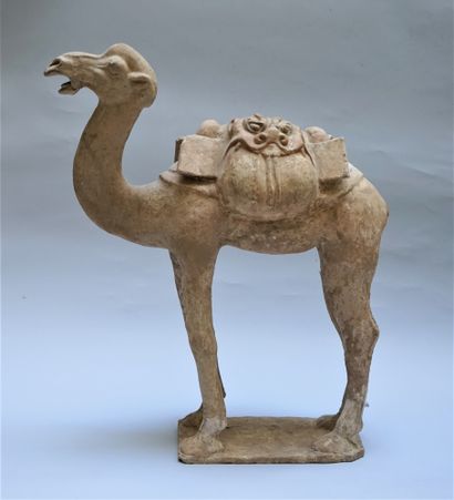 Beige terracotta camel with white polychromy....