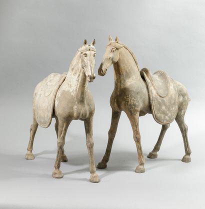 Pair of horses with removable saddle represented...