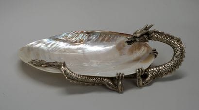 Large pocket-case made of a polished shell...