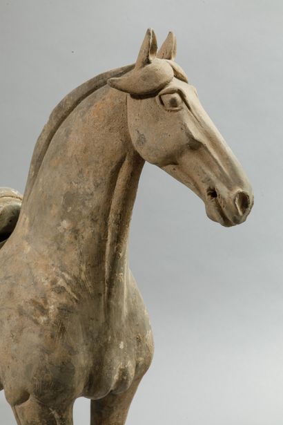 Pair of horses with removable saddle represented...