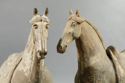 Pair of horses with removable saddle represented...