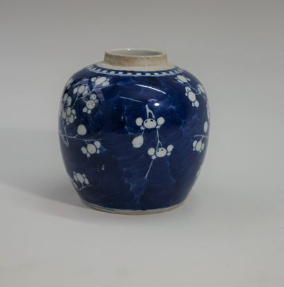 Ginger pot in blue and white porcelain decorated...