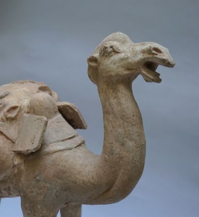 Beige terracotta camel with white polychromy....