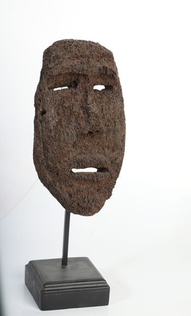 Masque en fougère arborescente et amalgame...