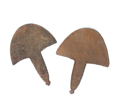 Two coins in the shape of a hoe blade.

Oxidized...